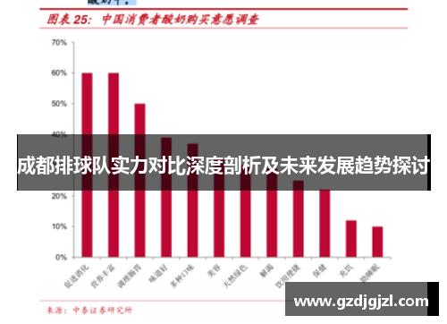 成都排球队实力对比深度剖析及未来发展趋势探讨