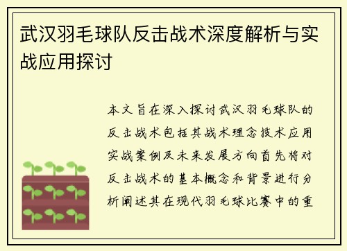 武汉羽毛球队反击战术深度解析与实战应用探讨